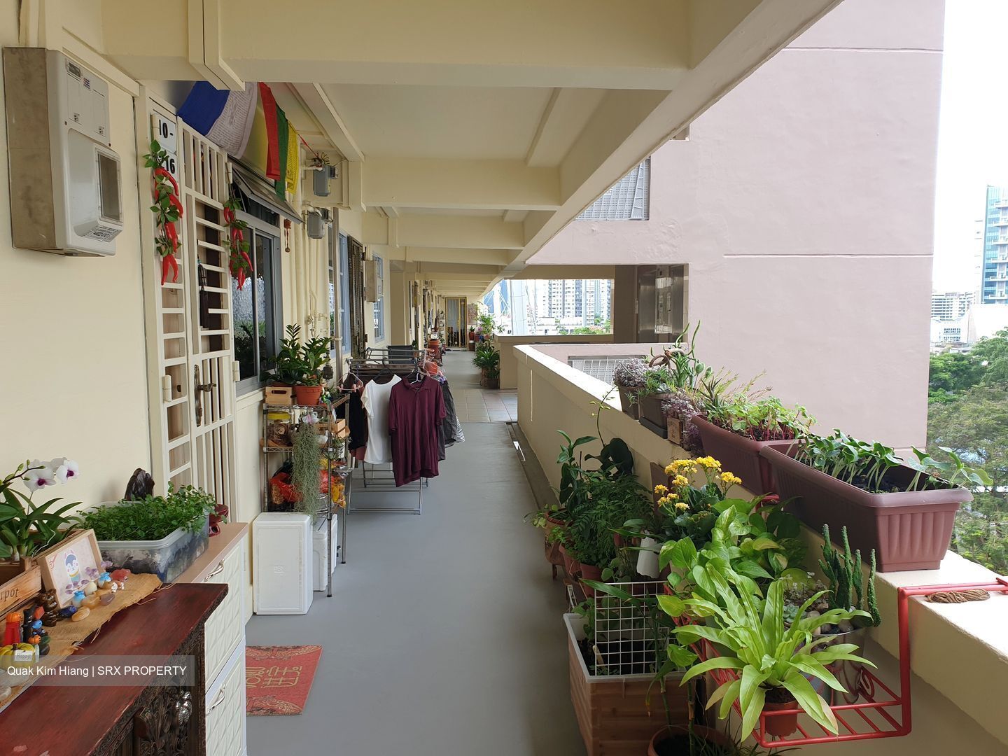 Blk 806 King George's Avenue (Kallang/Whampoa), HDB 3 Rooms #560676941